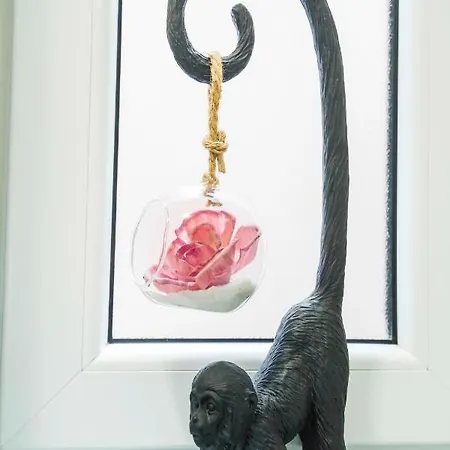 Alice Luxe 아파트 스플리트